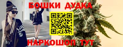 прущие крисы Абакан