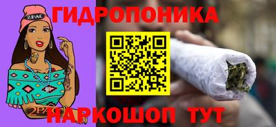 прущие крисы Абакан