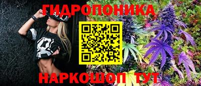 прущие крисы Абакан