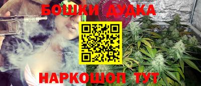 прущие крисы Абакан