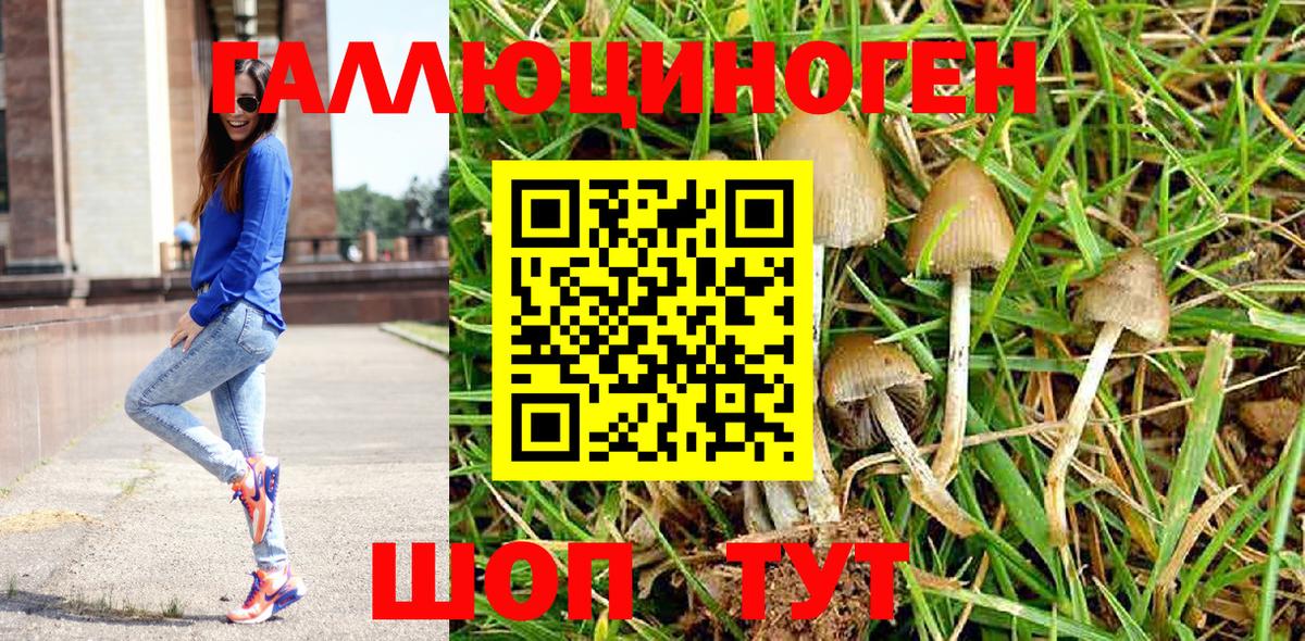 Галлюциногенные грибы мицелий  Вход с VPN  Алушта  Галлюциногенные грибы Cubensis 
